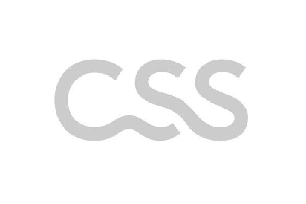 Kingp Act Kunden CSS